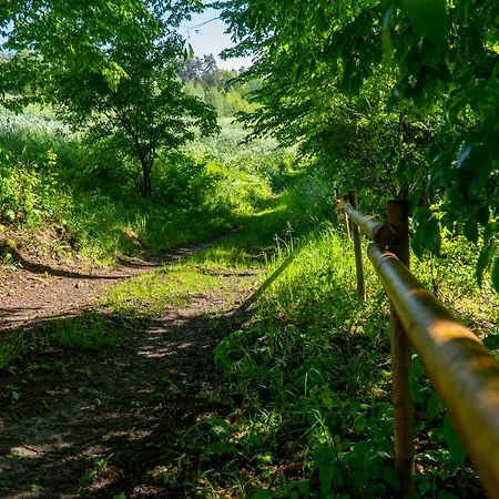 Ferienhaus Funaberia -25 Hektarowa Luksusowa Posiadlosc Z Basenem, Jacuzzi, Sauna, Boiskiem Wielofunkcyjnym *