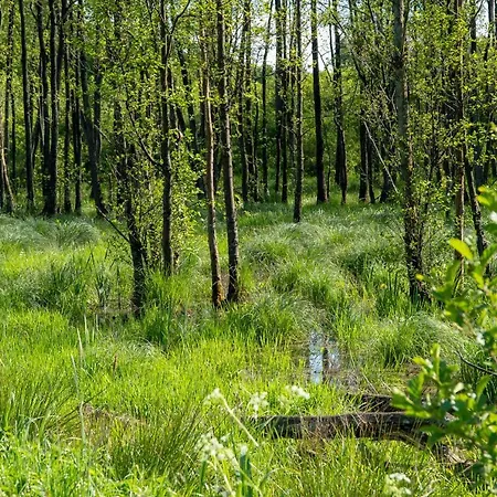 Funaberia -25 Hektarowa Luksusowa Posiadlosc Z Basenem, Jacuzzi, Sauna, Boiskiem Wielofunkcyjnym 度假居 Skop