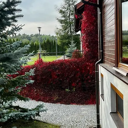 Ferienhaus Funaberia -25 Hektarowa Luksusowa Posiadlosc Z Basenem, Jacuzzi, Sauna, Boiskiem Wielofunkcyjnym *